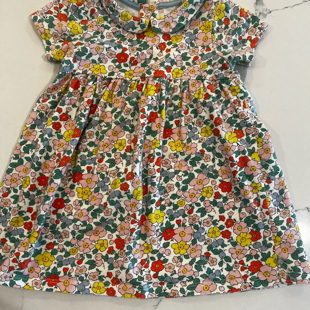 Boden Floral Print Dress in Pink, Yellow, Red, Green